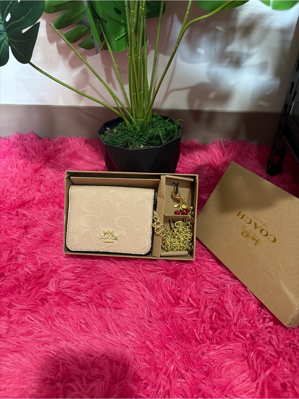 Coach Beige Pebbled Leather Card Holder with Gold Chain